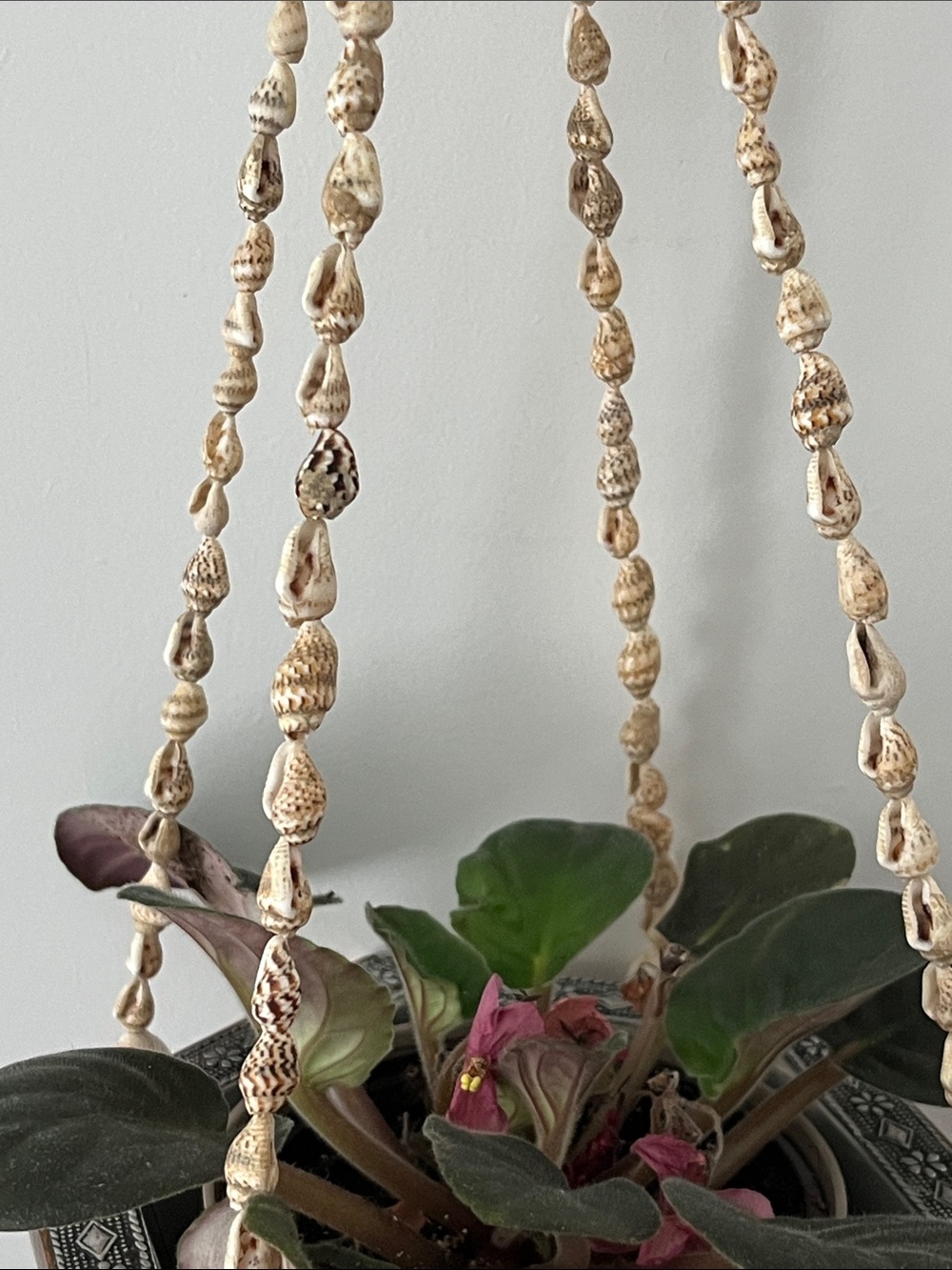Handcrafted VTG 70’sCowrie Shell Macramé Style  Hanging Holder BOHO
